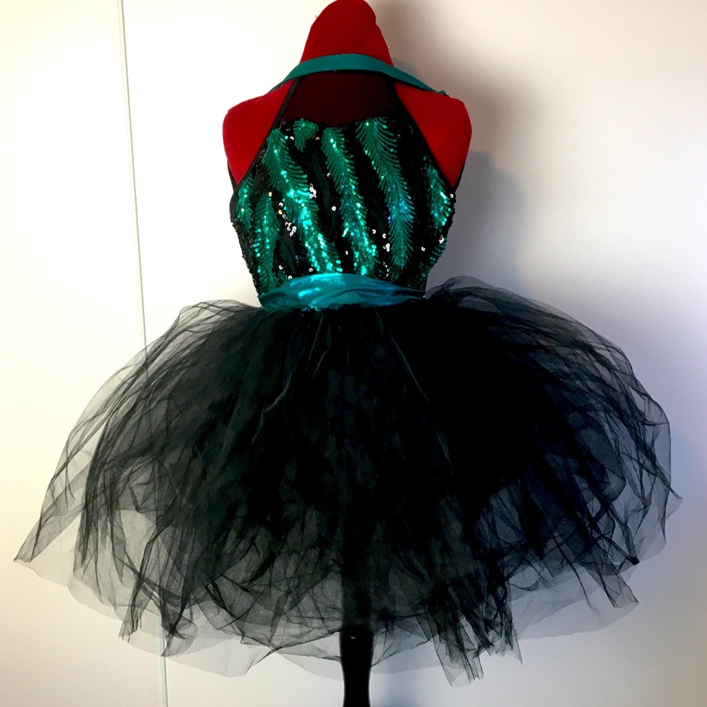 Ballerina Tutu Costume